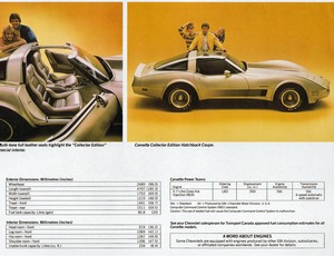 1982 Chevrolet Corvette (Cdn)-03.jpg